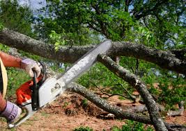  Hooper, UT Tree Care Services Pros