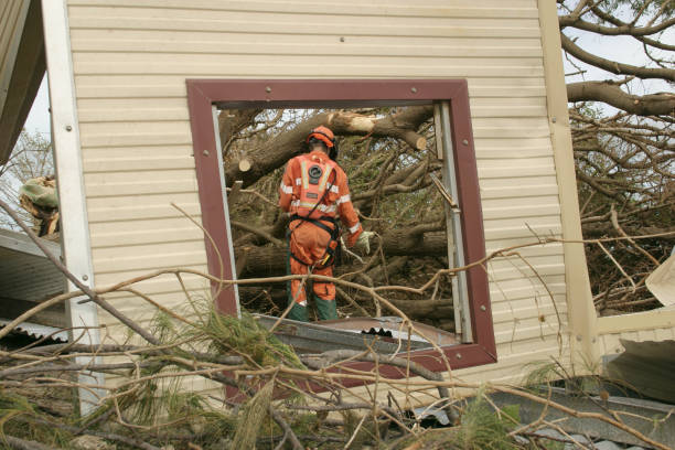 Reliable Hooper, UT Tree Care Services Solutions