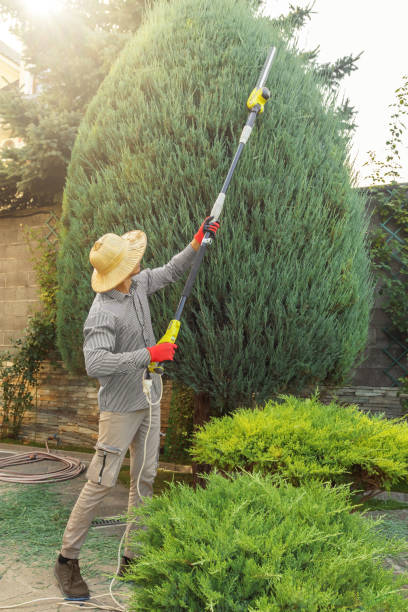 Best Commercial Tree Services  in Hooper, UT